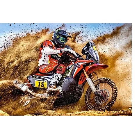 Castorland dėlionė Cascade Run  300 det.